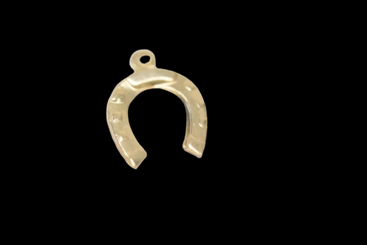 Gold Filled Horseshoe charm EL