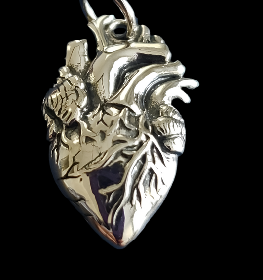 Sterling Silver Anatomical Heart Charm, vital organs, medical, heart surgery patient, doctor